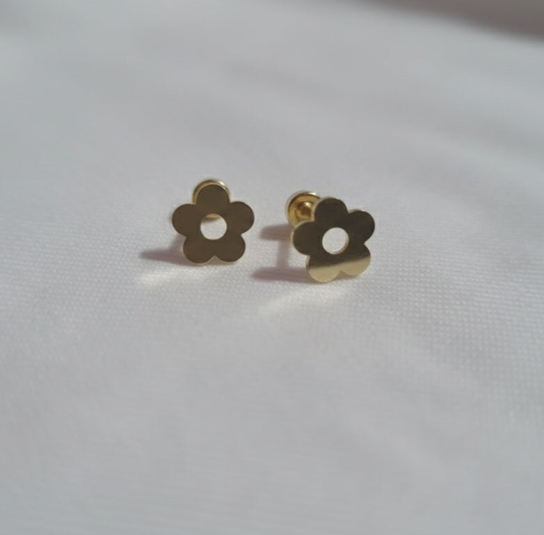 Ear Studs with Screw (pair)