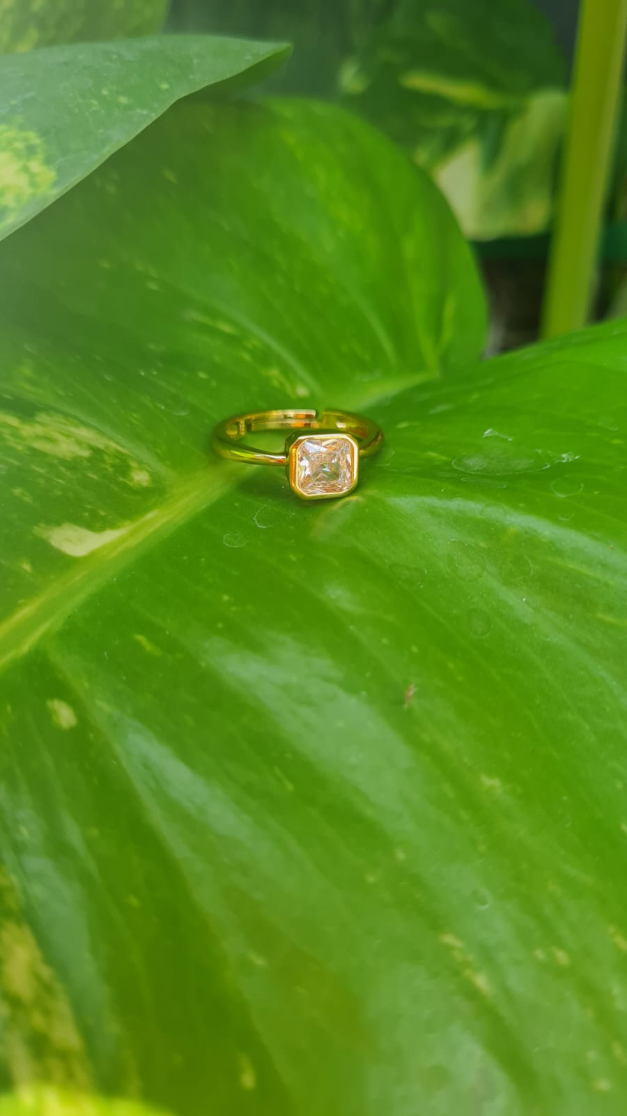 Adjustable Rings