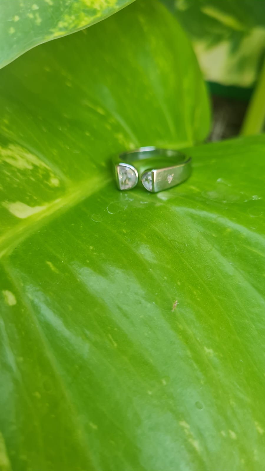 Adjustable Rings