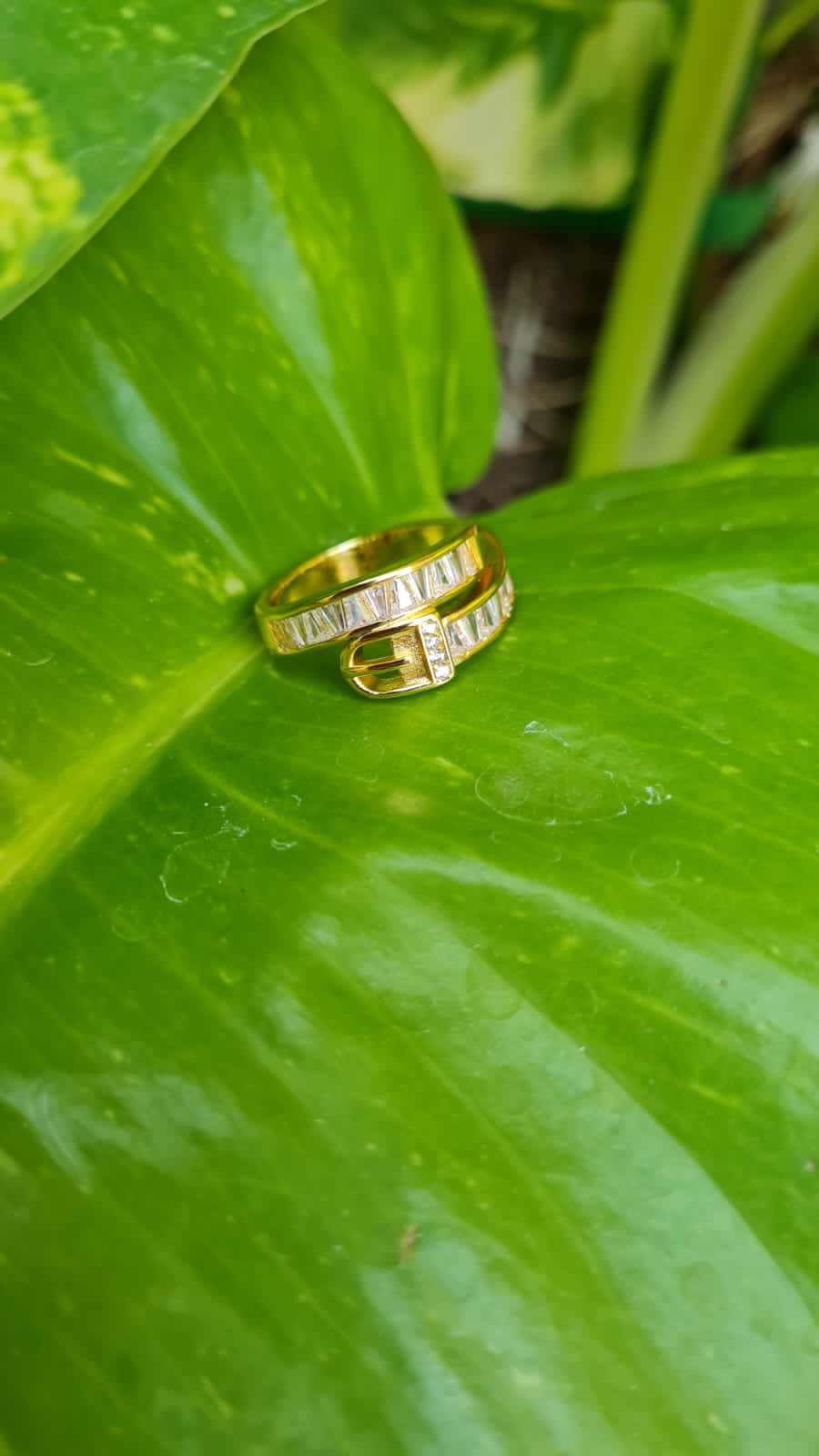 Adjustable Rings