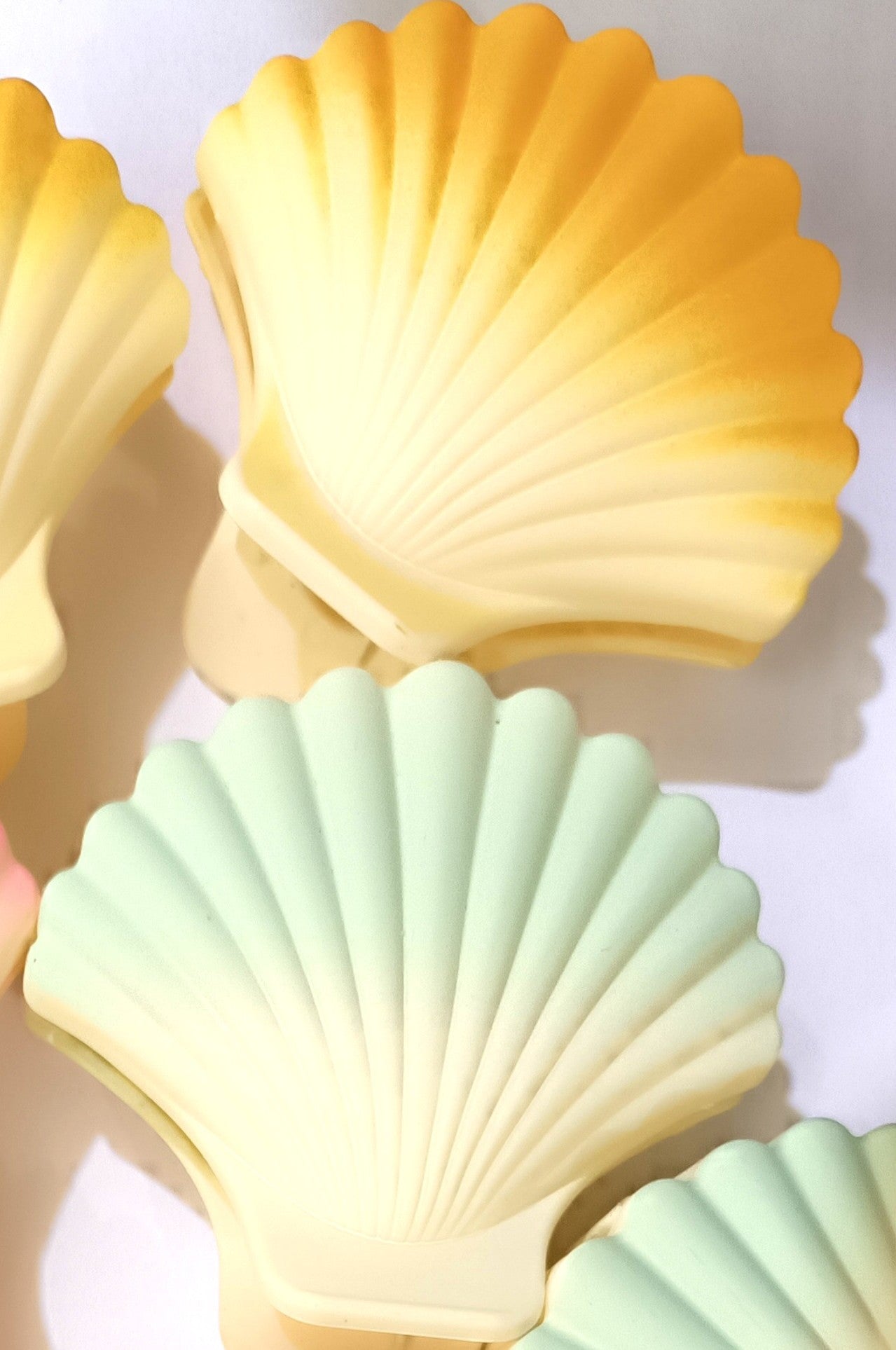 Sea Shell Clutch