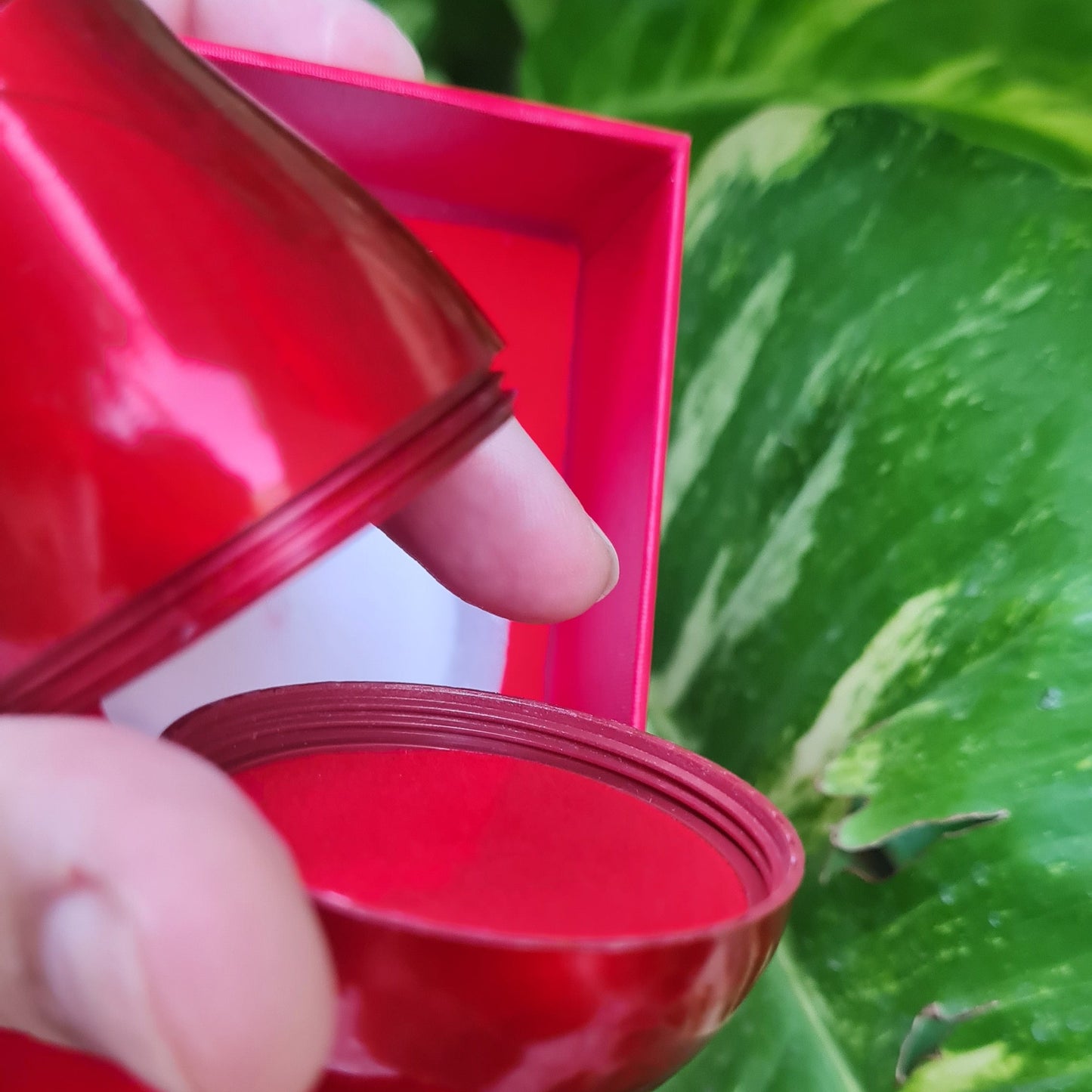 Rose Ring Box