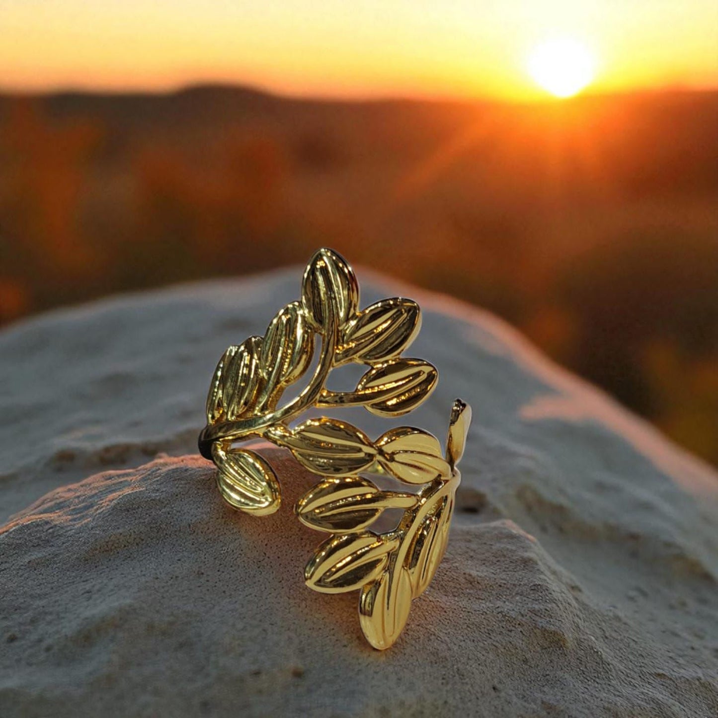 Rings (Stainless Steel Beauties)