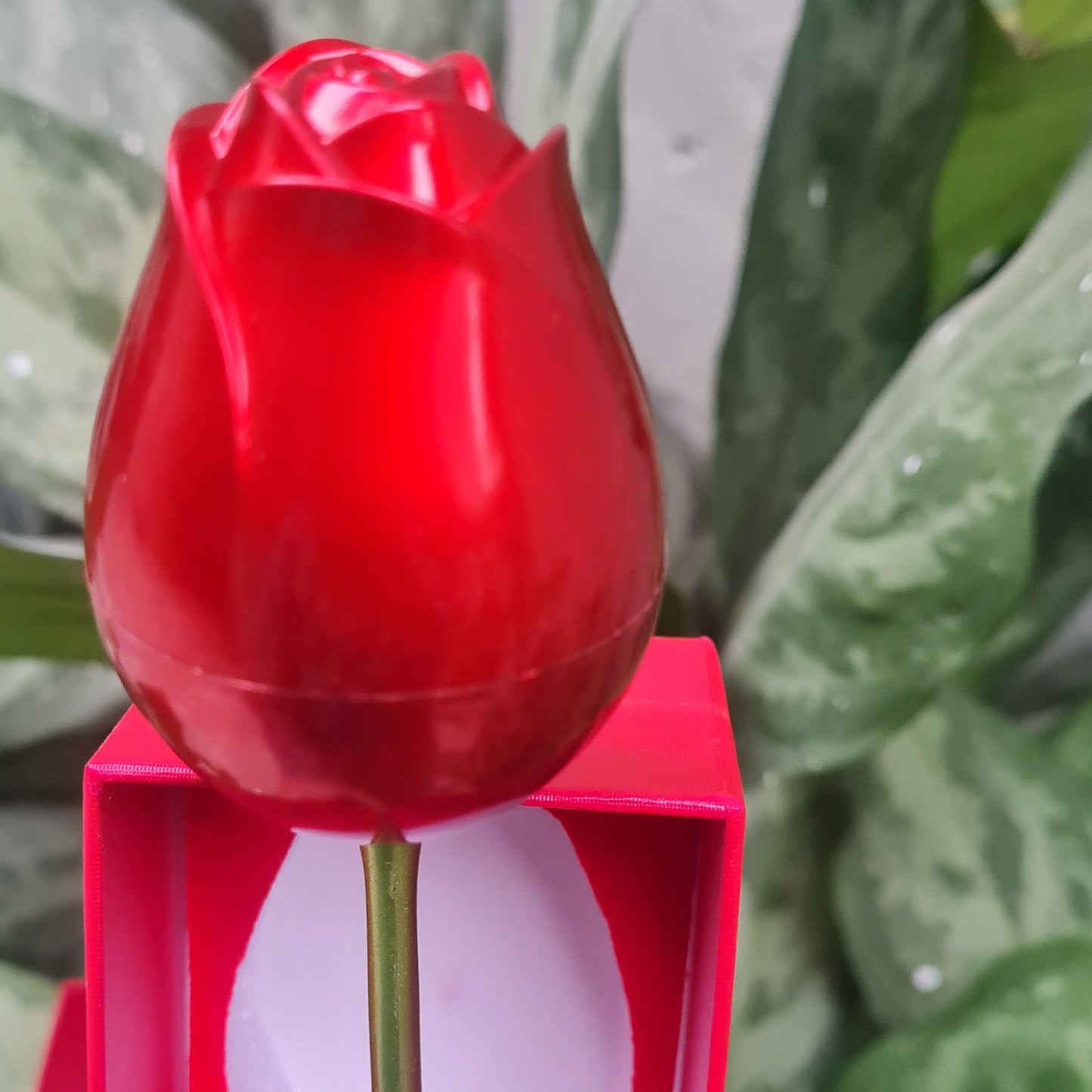 Rose Ring Box
