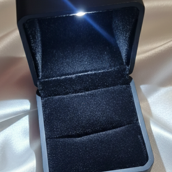 Premium Led Ring Box