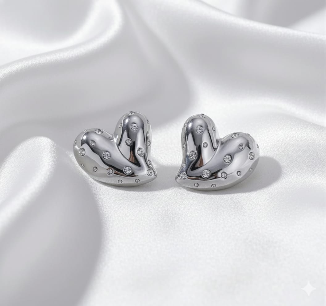 Stainless steel Silver earrings