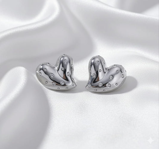 Stainless steel Silver earrings