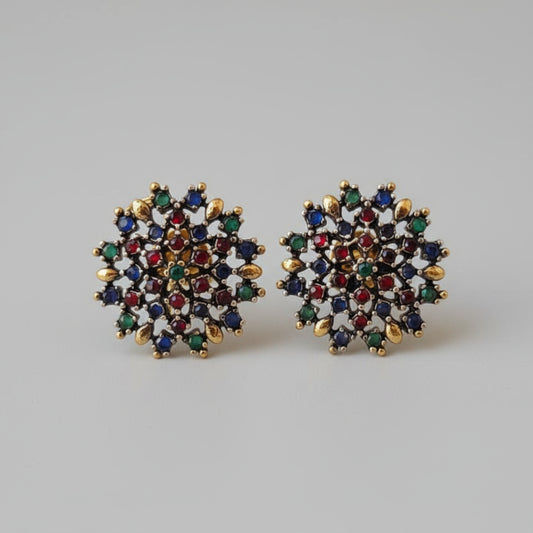Multicolored exquisite Earrings