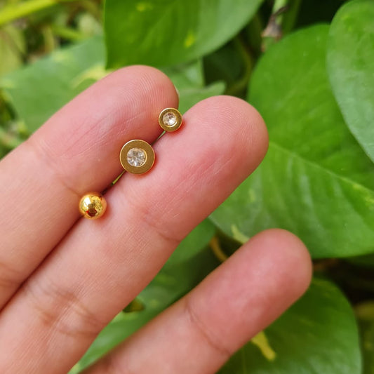 Ear Studs with Screw (pair)