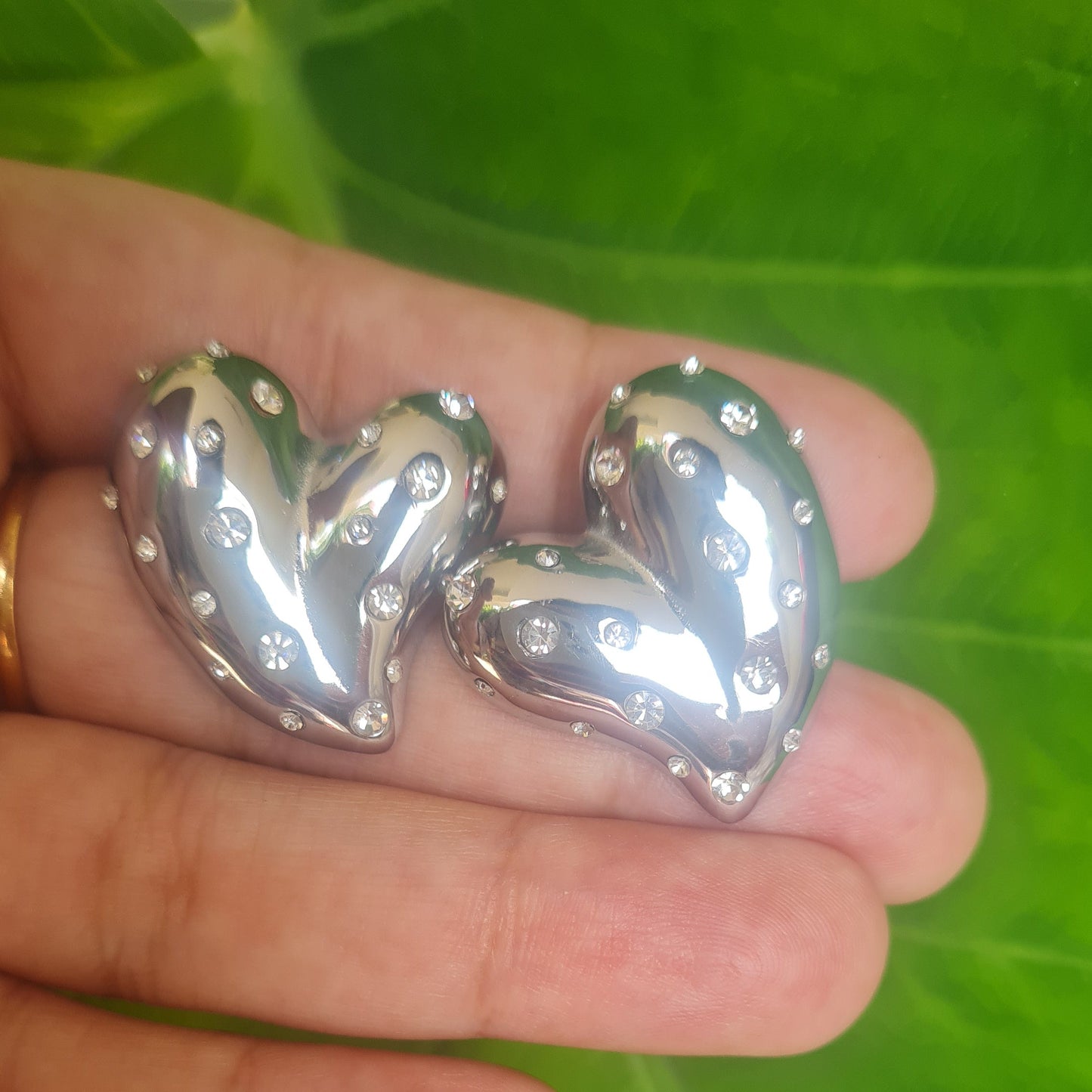 Stainless steel Silver earrings