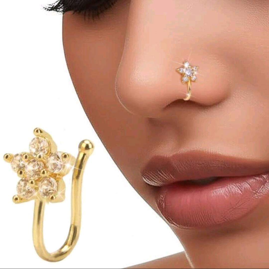 Nose Studs Pack (5 Nose Clips)