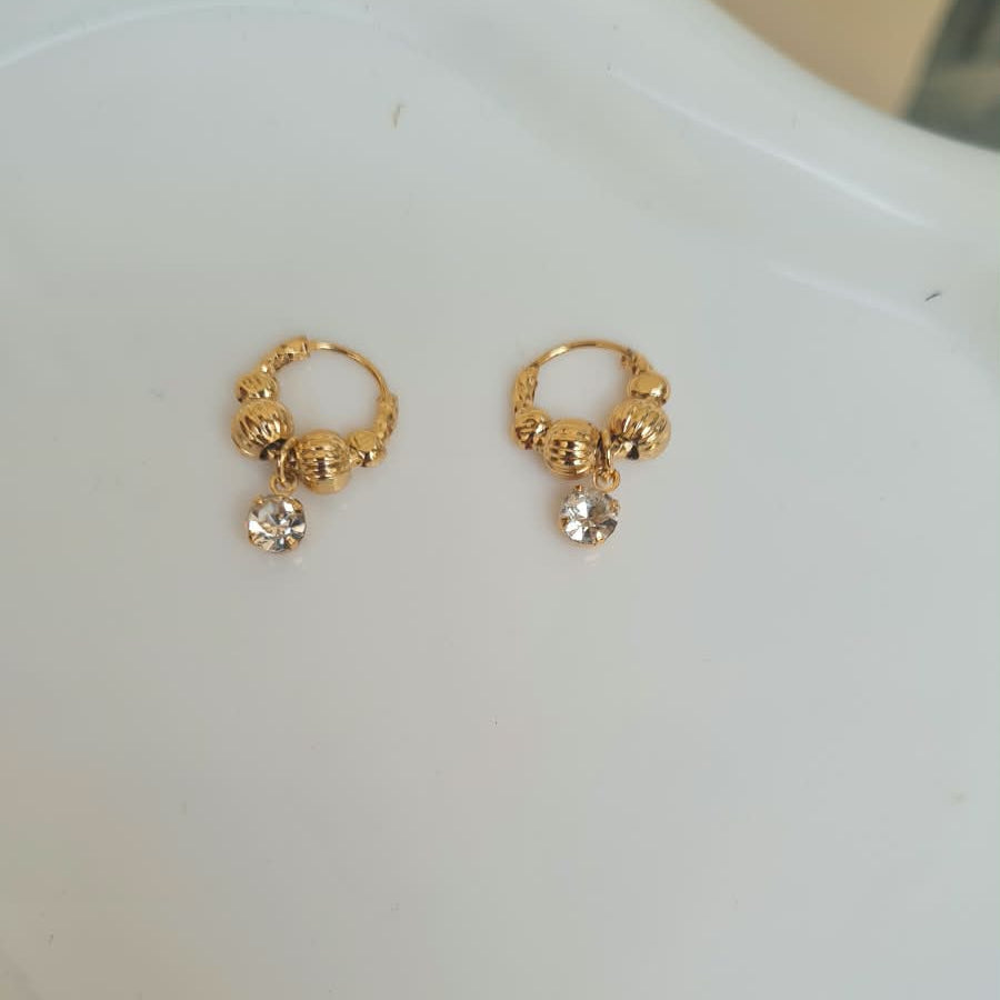Dainty Ear Hoops