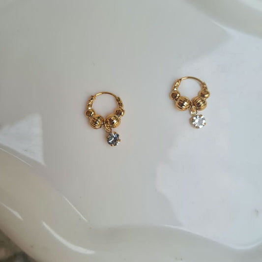 Dainty Ear Hoops
