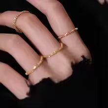 Stainless Steel Chain Ring